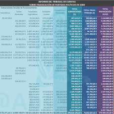 Auditoria Financiación Partidos Políticos en 2008