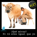 La Vaca