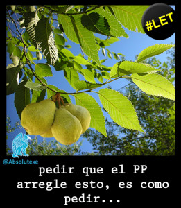 PP arregle