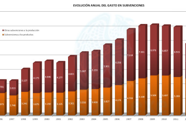 Evolución Anual Gasto Subvenciones