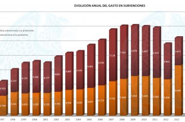 Evolución Anual Gasto Subvenciones 2017