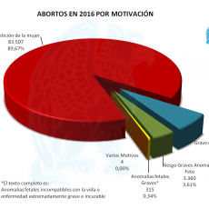 Abortos x Motivación 2016