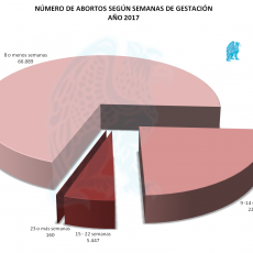 Abortos por Semana de Gestación