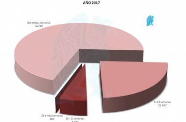 Abortos por Semana de Gestación