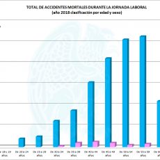 Accidentes Mortales por Sexo y Edad