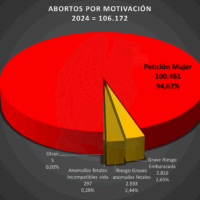 Abortos España 2024 por motivación de la madre