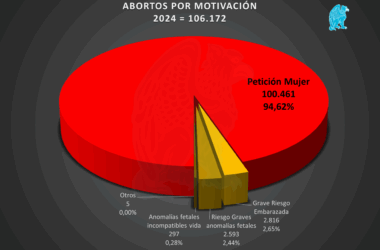 Abortos España 2024 por motivación de la madre